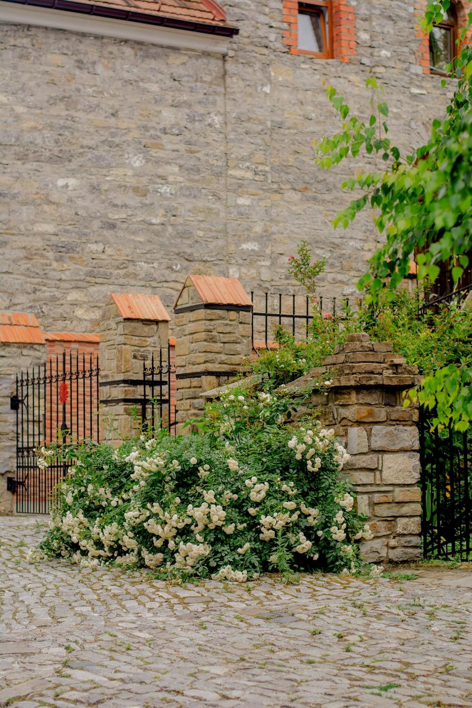 Residential courtyard design